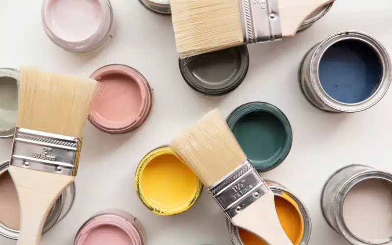 Painting Sunshine Coast